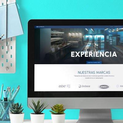 website-diseno-mexico-queretaro